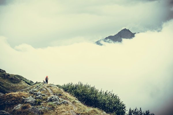 Quels sont les meilleurs itinéraires pour une randonnée dans les montagnes Rocheuses, Canada ?